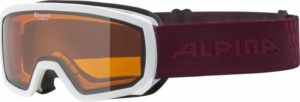 Alpina Scarabeo JR DH 2019/20 dětské brýle