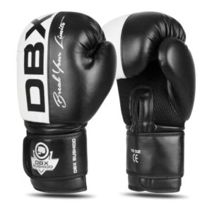 BUSHIDO Boxerské rukavice DBX B-2v20